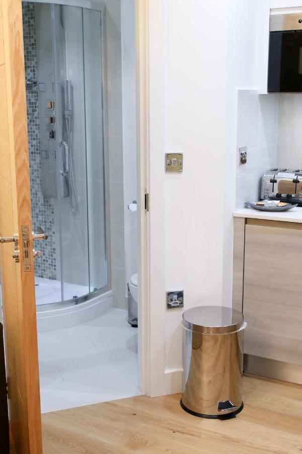 Executive Bright And Airy Studio Apartment In Sydenham Londra Dış mekan fotoğraf